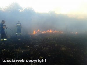 Incendio a Blera - Volontari della protezione civile in azione