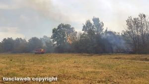 Civitella Cesi - Incendio