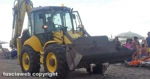 Tarquinia - L'animale spiaggiato sulla riva viene portato via