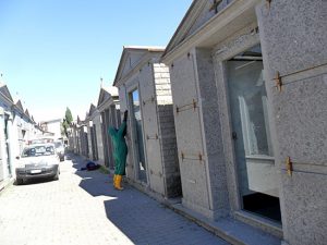 Montefiascone - I volontari Asvom bonificano nidi di calabrone al cimitero