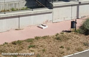 Viterbo - Cartone sparso in strada