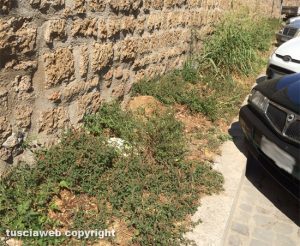 Civita Castellana - Erbacce e incuria davanti al Forte Sangallo