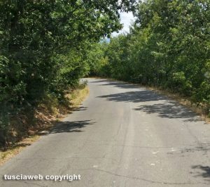 Strada tra Blera e Monte Romano invasa dalle erbacce