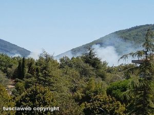 Incendio sulla Palanzana