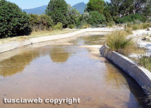 Viterbo - Bullicame a secco - Una foto dei lettori