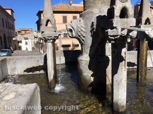 Viterbo - Fontana grande 
