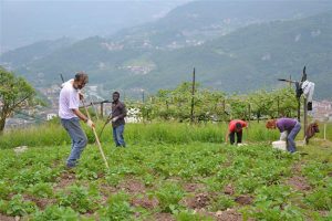 Accoglienza in Val Camonica