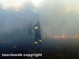 Incendio a Blera - Volontari della protezione civile in azione