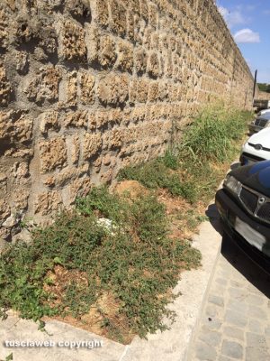 Civita Castellana - Erbacce e incuria davanti al Forte Sangallo