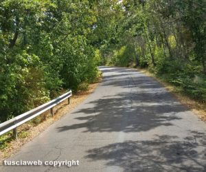 Strada tra Blera e Monte Romano invasa dalle erbacce