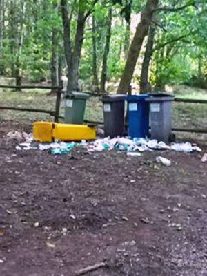Viterbo - Degrado nell'area giochi della faggeta