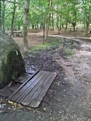 Viterbo - Degrado nell'area giochi della faggeta