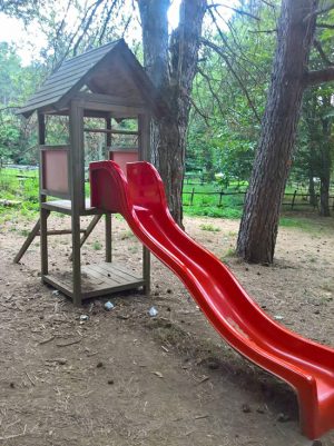 Viterbo - Degrado nell'area giochi della faggeta