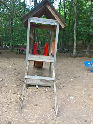 Viterbo - Degrado nell'area giochi della faggeta