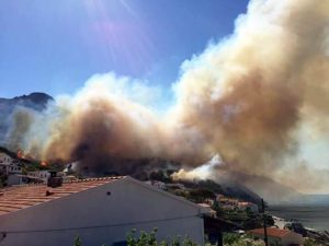 Incendio all'isola d'Elba