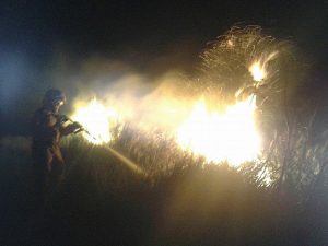 Incendio - L'Aeopc di Tarquinia in azione