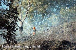 Viterbo - Incendio nel bosco di strada Roncone