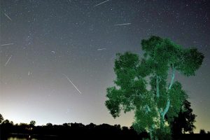 Stelle cadenti