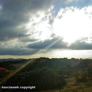 Raggio di sole a Scansano
