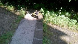 Corchiano - Il giardino del Ritello prima dei lavori