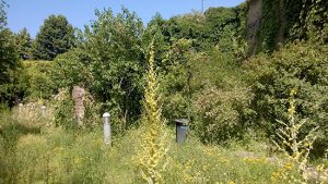 Corchiano - Il giardino del Ritello prima dei lavori