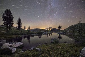 Stelle cadenti