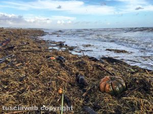 Esondazione Marta - Le zucche invadono la spiaggia di Montalto