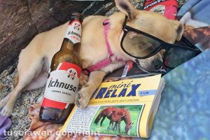 La piccola Maya in vacanza a Stintino