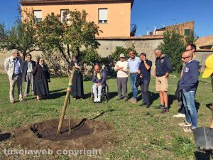 Piantato l'ulivo della pace 
