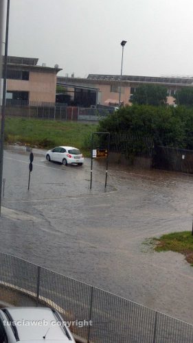 Maltempo - Viterbo - Il Poggino allagato 