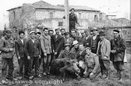 Tuscania - Caccia al cinghiale