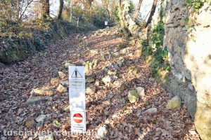 Orte - Il Giro del Baciocio