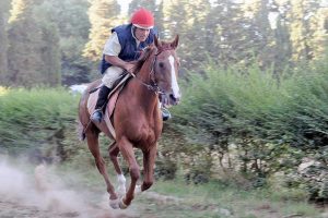 Sport - Equitazione - Alla scuderia Burla il trofeo Città di Capalbio