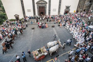 Grotte di Castro - Celebrata Santa Maria del Suffragio