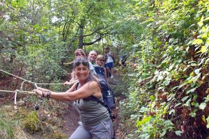 Gruppo alle corde