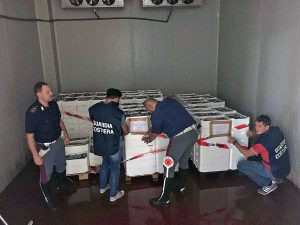 Civitavecchia - Sequestrate oltre due tonnellate di pesce