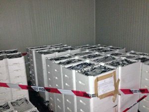 Civitavecchia - Sequestrate oltre due tonnellate di pesceCivitavecchia - Sequestrate oltre due tonnellate di pesce