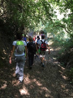 Il bosco incantato