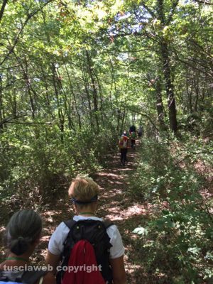 Via Francigena della Tuscia - Da Acquapendente a Bolsena
