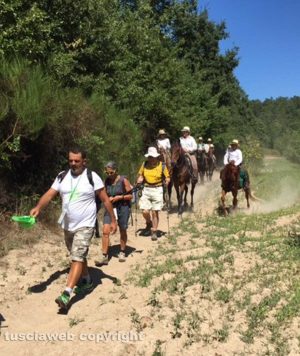 Via Francigena della Tuscia - Da Acquapendente a Bolsena