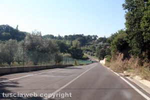 Viterbo - Strada Ponte Sodo 