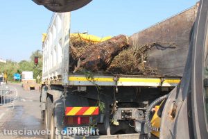Viterbo - Maltempo - Sopralluogo in strada Bagni 