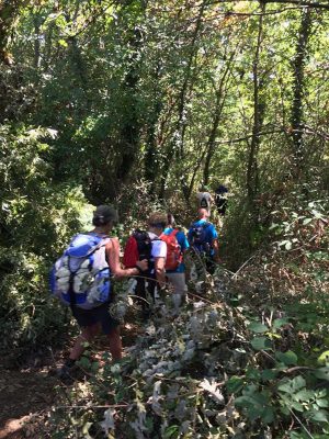Il cammino sulla via Francigena 