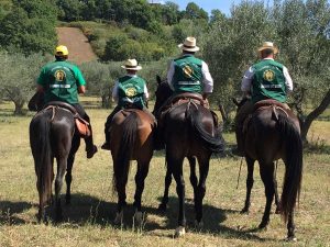 Il cammino sulla via Francigena 