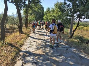 Il cammino sulla via Francigena