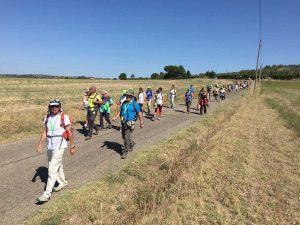 La via Francigena