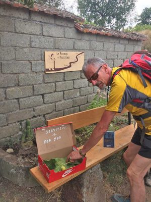 Il cammino sulla via Francigena 