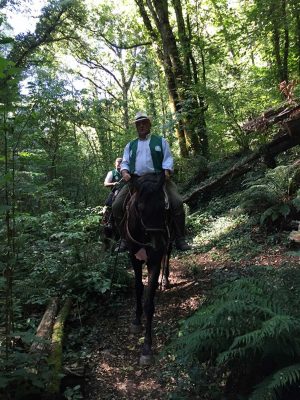 Il cammino sulla via Francigena 