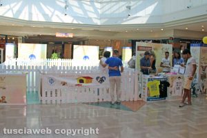 Viterbo - Lo stand del canile di Montefiascone