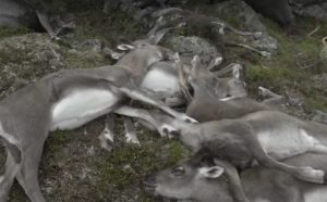 Screenshot-2016-09-01-19.07.57